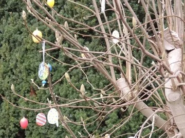 Salzteig - Rezept - Bild Nr. 15