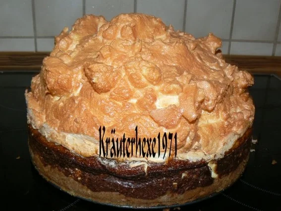 Rezept: Weihnachtskäsekuchen "Schneegestöber" Bild Nr. 14 Weihnachtskäsekuchen "Schneegestöber" - Rezept - Bild Nr. 14