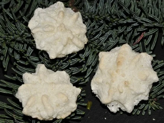 Rezept: Kokosbusserl Kokosbusserl - Rezept