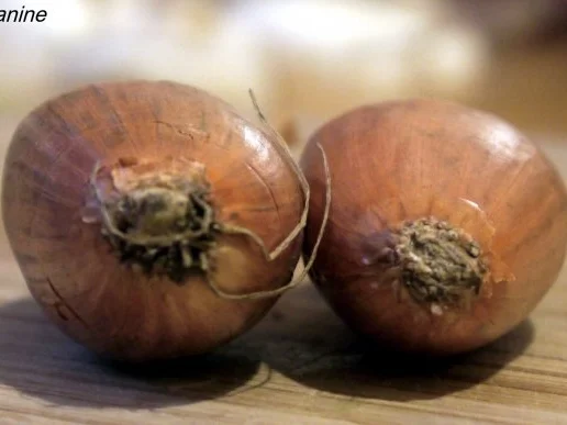 Rezept: Dim Sum mit Pilz-Hackfleisch-Füllung Bild Nr. 3 Dim Sum mit Pilz-Hackfleisch-Füllung - Rezept - Bild Nr. 3