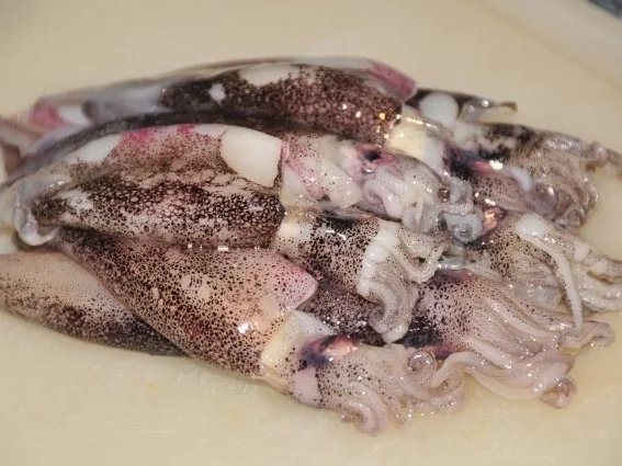 gefüllte Calamari - Rezept - Bild Nr. 3