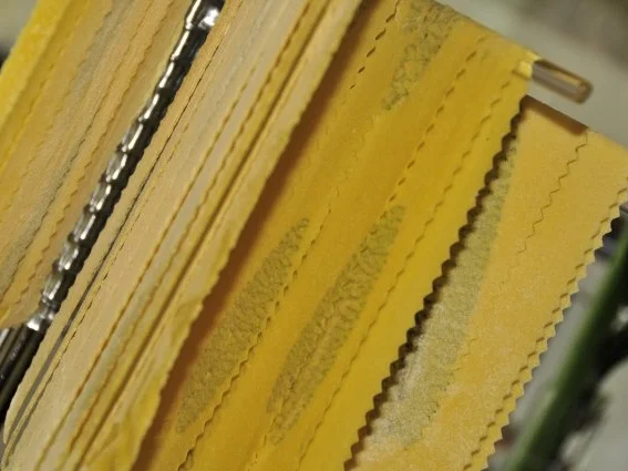 Zitronen-Minze Nudeln - Rezept