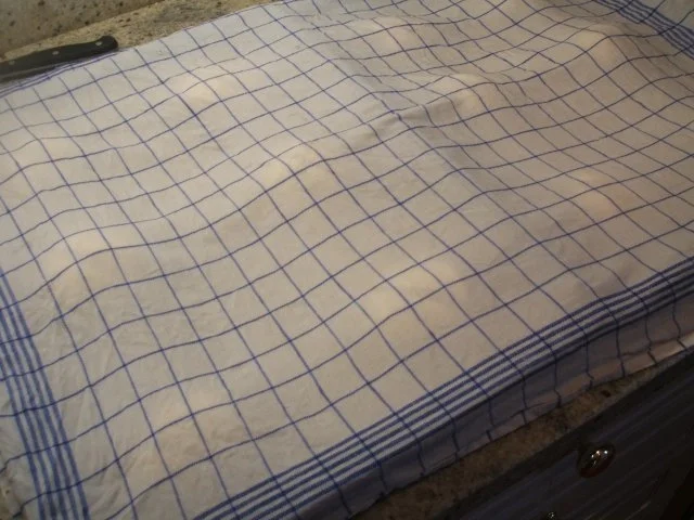 Rezept: Brot/Brötchen: Unsere Lieblingsbrötchen Bild Nr. 14 Brot/Brötchen: Unsere Lieblingsbrötchen - Rezept - Bild Nr. 14