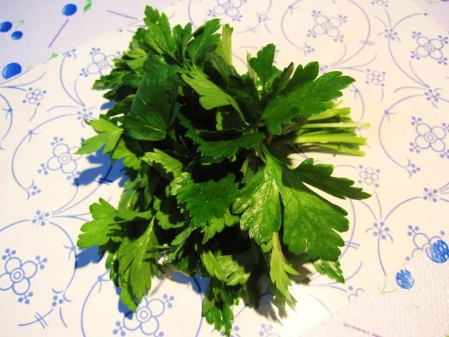 Rezept: Cremesuppe aus verschiedenen Gemüsen... Bild Nr. 6 Cremesuppe aus verschiedenen Gemüsen... - Rezept - Bild Nr. 6