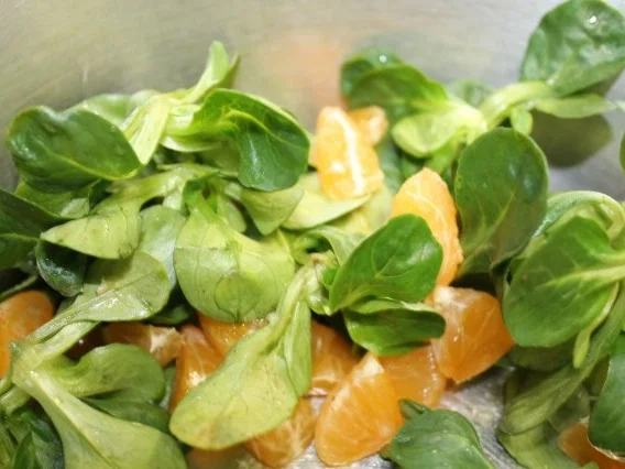 Clementine- Feldsalat auf Rote- Bete Carpaccio - Rezept - Bild Nr. 4