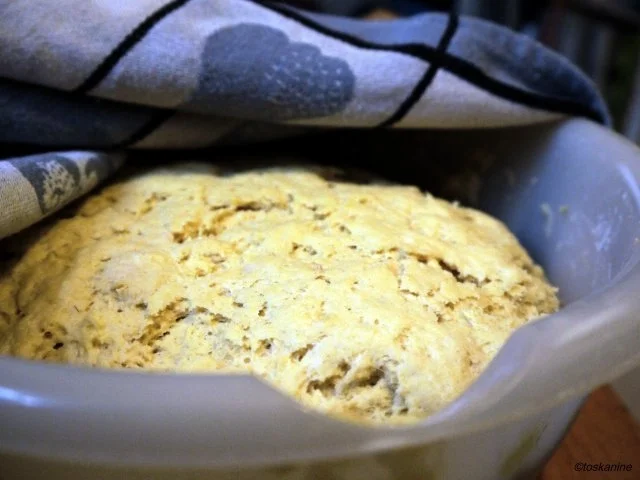 Maisbrot - Rezept - Bild Nr. 8