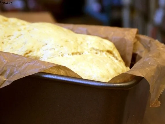 Maisbrot - Rezept - Bild Nr. 10