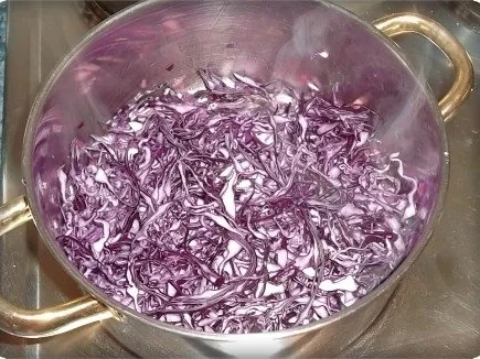 Rezept: Festliches Preiselbeerrotkohl Bild Nr. 9 Festliches Preiselbeerrotkohl - Rezept - Bild Nr. 9