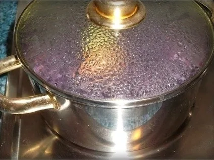 Rezept: Festliches Preiselbeerrotkohl Bild Nr. 16 Festliches Preiselbeerrotkohl - Rezept - Bild Nr. 16