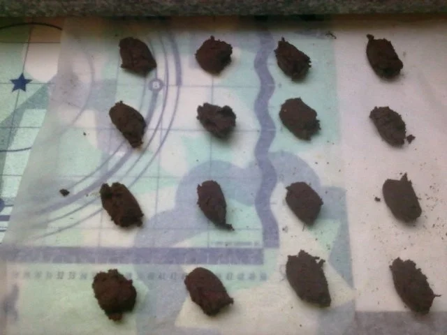 Schoko-Cookies - Rezept - Bild Nr. 2