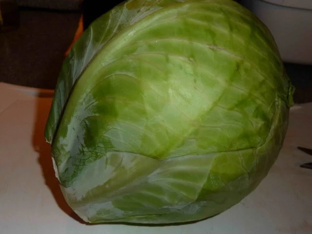 Rezept: Weißkohl-Gyros-Pfanne Bild Nr. 2 Weißkohl-Gyros-Pfanne - Rezept - Bild Nr. 2