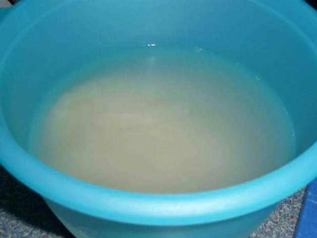 Reis - Rezept - Bild Nr. 4