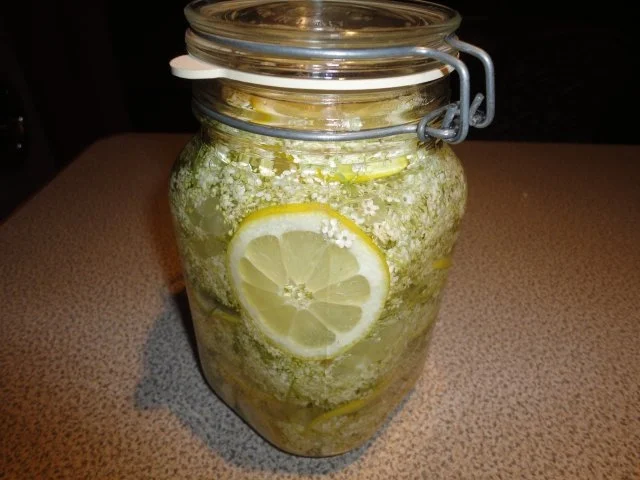 Holunderblüten-Likör - Rezept - Bild Nr. 4