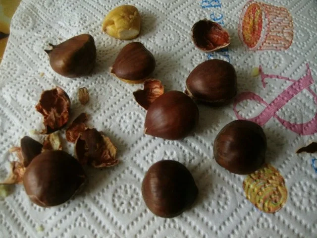 Rezept: Kasselerbraten in Rotweinsoße Bild Nr. 10 Kasselerbraten in Rotweinsoße - Rezept - Bild Nr. 10