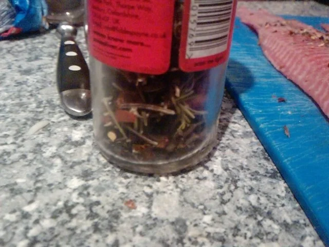 HERR WELS VOM FELS IN DIE PFANNE OHNE PANNE - Rezept - Bild Nr. 3