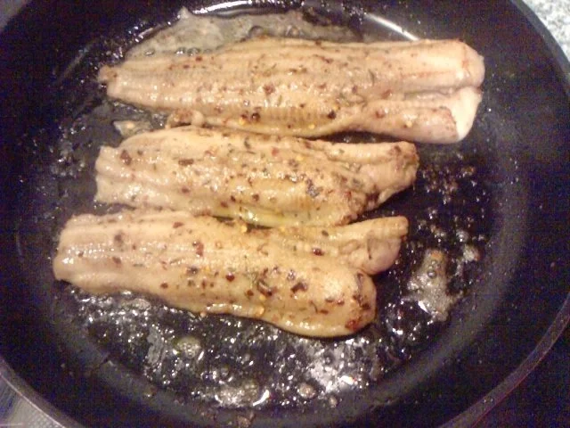 HERR WELS VOM FELS IN DIE PFANNE OHNE PANNE - Rezept - Bild Nr. 4