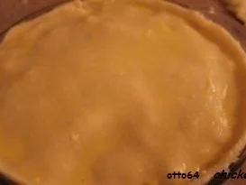 Hühnchen-Koriander-Pie - Rezept - Bild Nr. 10