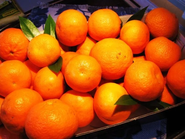 Rotkohl mit Clementinen - Rezept - Bild Nr. 4