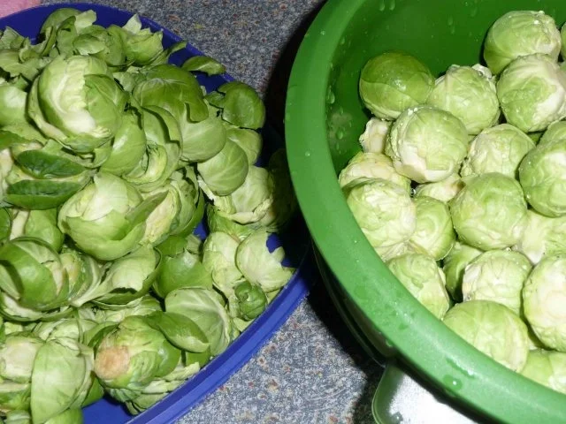 Rosenkohl-Hack-Auflauf - Rezept - Bild Nr. 3