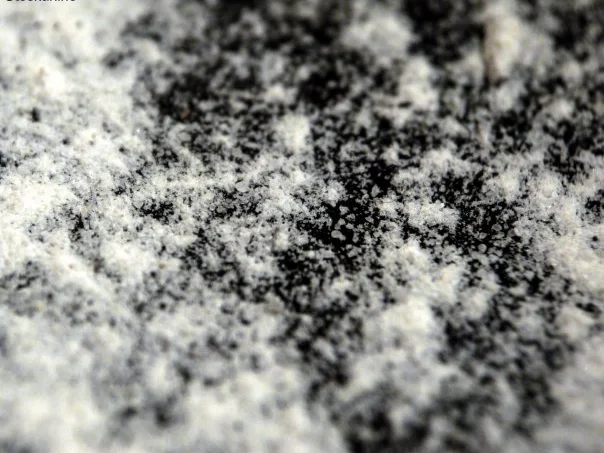 Rezept: Vanillezucker mal anders Bild Nr. 6 Vanillezucker mal anders - Rezept - Bild Nr. 6