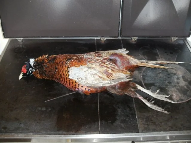 Rezept: Fleisch: Fasan Bild Nr. 2 Fleisch: Fasan - Rezept - Bild Nr. 2