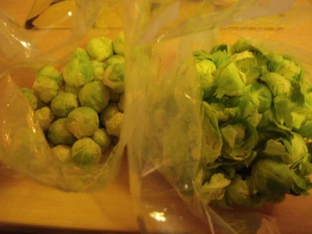 Rosenkohleintopf mit geräucherten Rippchen - Rezept - Bild Nr. 3