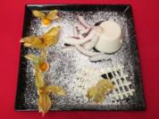 Kokos-Zitronengras-Panna Cotta - Rezept