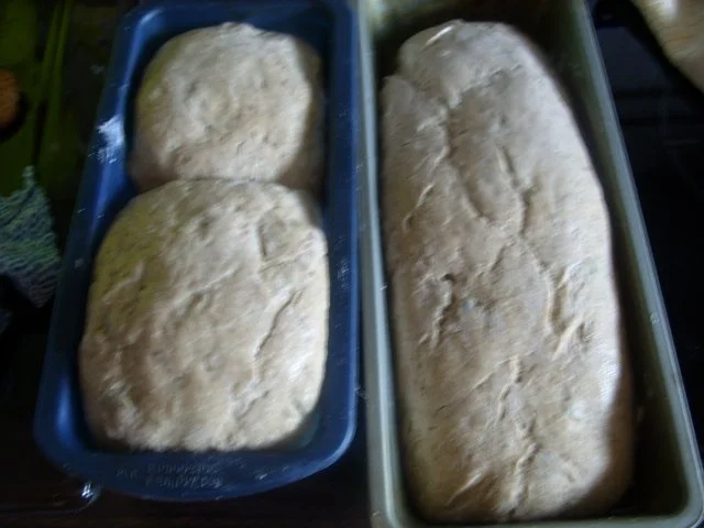 Rezept: BROT: Roggenbrot Bild Nr. 2 BROT: Roggenbrot - Rezept - Bild Nr. 2