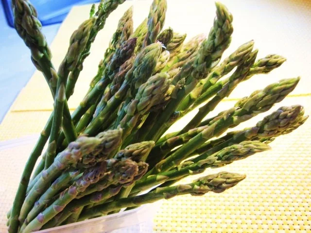Rezept: Wildspargel Bild Nr. 2 Wildspargel - Rezept - Bild Nr. 2