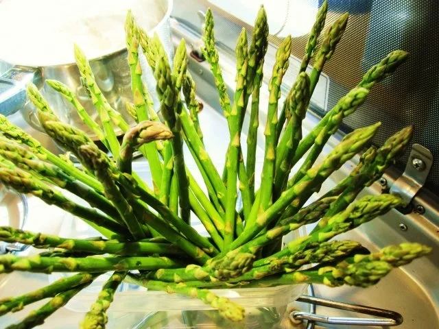 Rezept: Wildspargel Bild Nr. 4 Wildspargel - Rezept - Bild Nr. 4