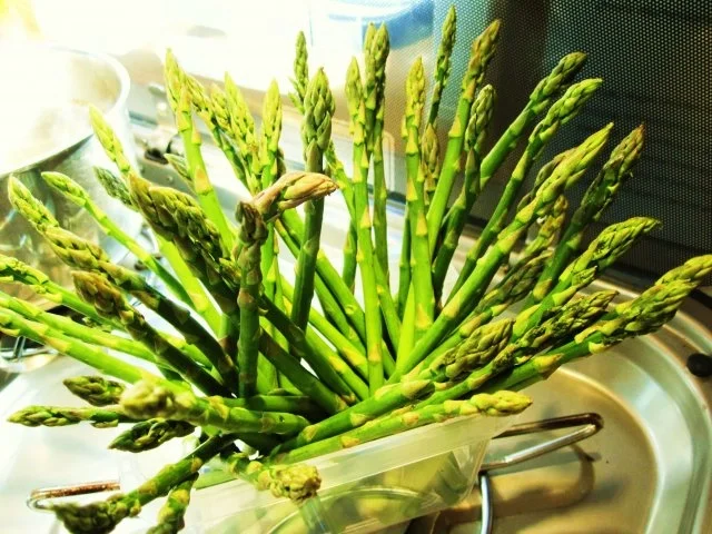 Rezept: Wildspargel Bild Nr. 5 Wildspargel - Rezept - Bild Nr. 5