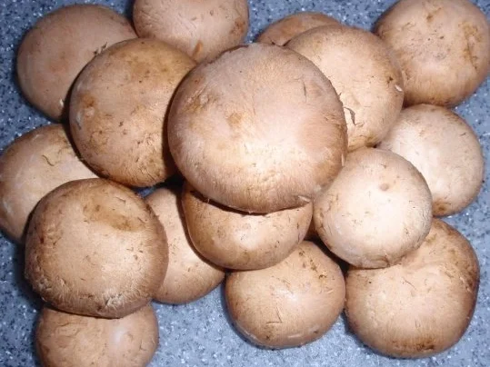 Rezept: Filet in Champignon-Rahmsoße und Fettuccine agli Spinaci Bild Nr. 3 Filet in Champignon-Rahmsoße und Fettuccine agli Spinaci - Rezept - Bild Nr. 3