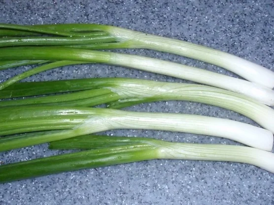 Rezept: Filet in Champignon-Rahmsoße und Fettuccine agli Spinaci Bild Nr. 5 Filet in Champignon-Rahmsoße und Fettuccine agli Spinaci - Rezept - Bild Nr. 5