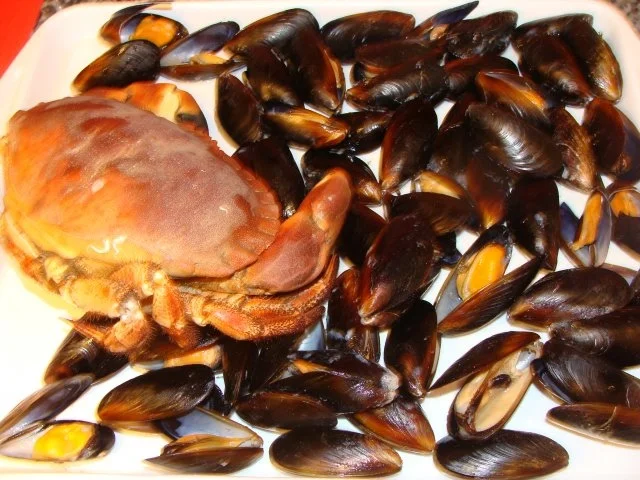 Rezept: Festtagssalat : Mehr vom Meer. Bild Nr. 4 Festtagssalat : Mehr vom Meer. - Rezept - Bild Nr. 4