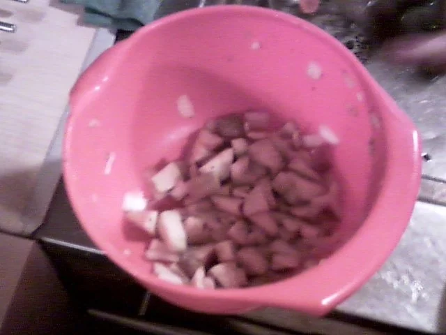 Rezept: Himmlische Ente Bild Nr. 3 Himmlische Ente - Rezept - Bild Nr. 3