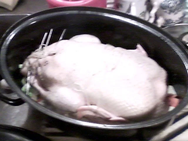 Rezept: Himmlische Ente Bild Nr. 5 Himmlische Ente - Rezept - Bild Nr. 5