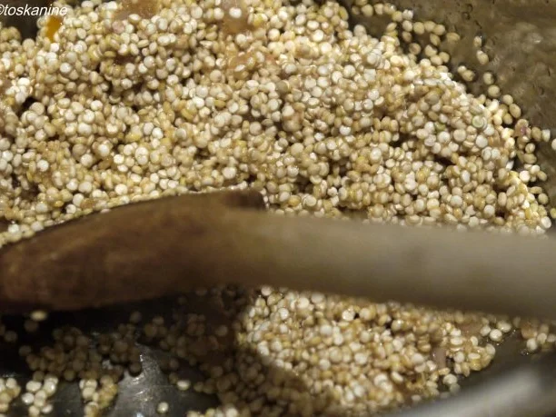 Hackfleisch-Möhren-Röllchen auf Tomaten-Quinoa - Rezept - Bild Nr. 11