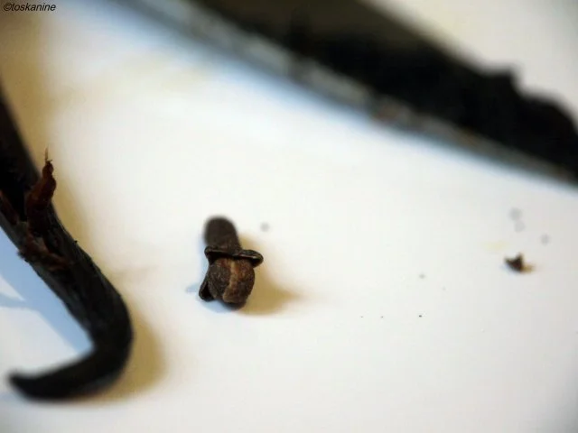 Rezept: Gebackene Äpfel mit süsser Béchamelsauce Bild Nr. 6 Gebackene Äpfel mit süsser Béchamelsauce - Rezept - Bild Nr. 6