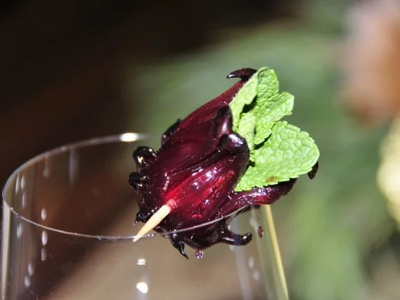 Hibiscus Daiquiri - Rezept - Bild Nr. 2