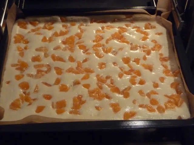 Kuchen : Geburtstagskuchen frei  Schnauze - Rezept - Bild Nr. 2