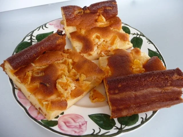 Kuchen : Geburtstagskuchen frei  Schnauze - Rezept - Bild Nr. 7