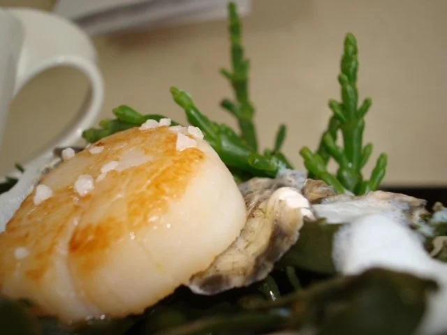 Rezept: Fischsuppe mit Fenchel und Safran Fischsuppe mit Fenchel und Safran - Rezept