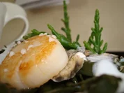 Rezept: Fischsuppe mit Fenchel und Safran Fischsuppe mit Fenchel und Safran - Rezept