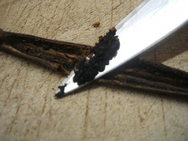 Dessert: Himbeer-Pannacotta - Rezept - Bild Nr. 6