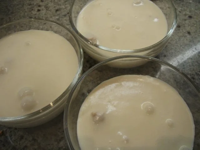 Dessert: Zitronen-Creme aus Eis - Rezept - Bild Nr. 10