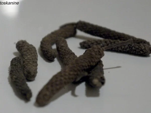 Hähnchenbrust mit Pfefferkirschen - Rezept - Bild Nr. 2