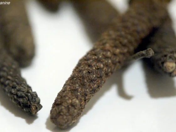 Hähnchenbrust mit Pfefferkirschen - Rezept - Bild Nr. 3