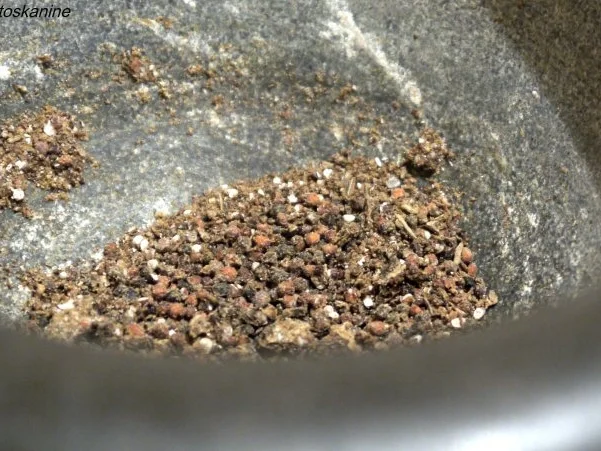 Hähnchenbrust mit Pfefferkirschen - Rezept - Bild Nr. 4