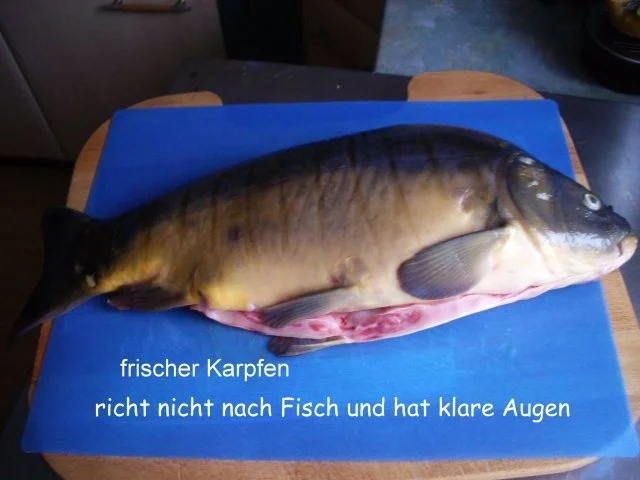 Karpfen gebacken - Rezept - Bild Nr. 2