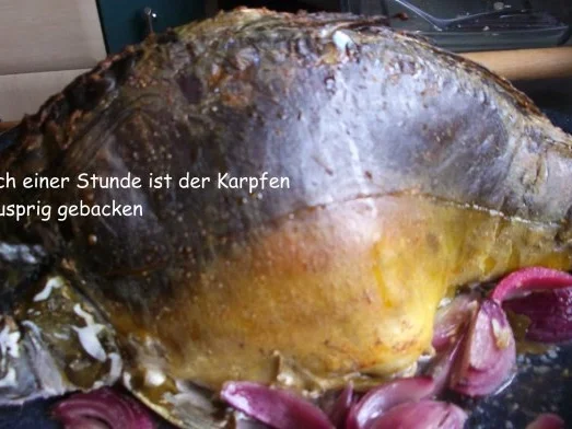 Karpfen gebacken - Rezept - Bild Nr. 9